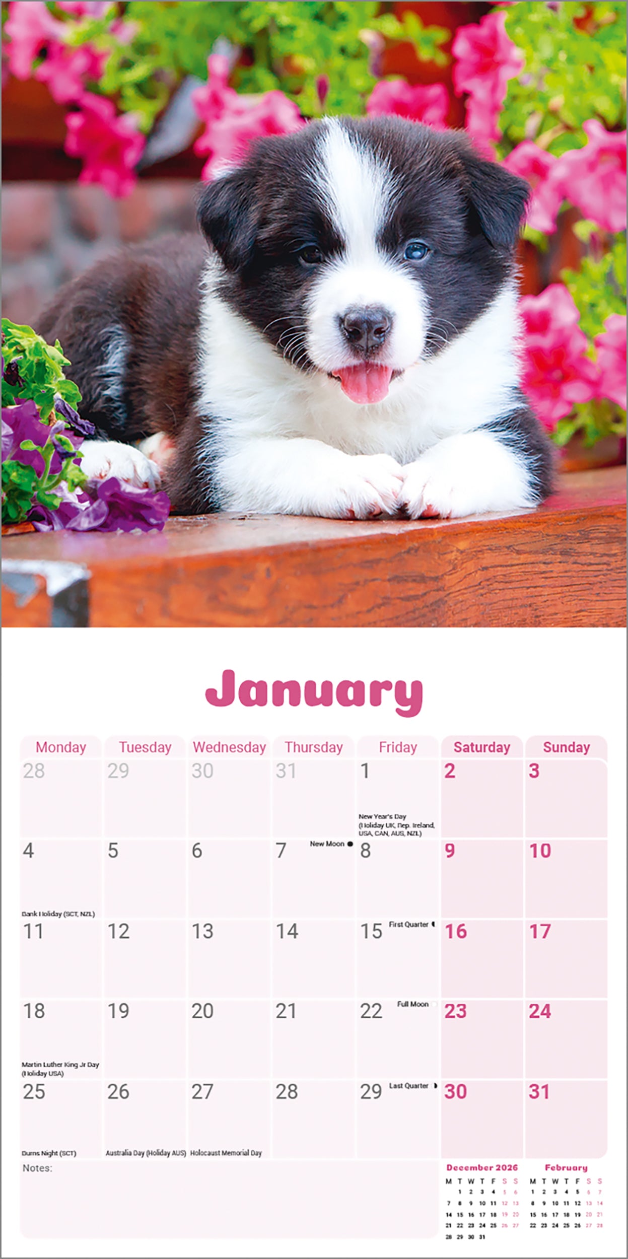 Border Collie Puppies Mini Calendar 2027