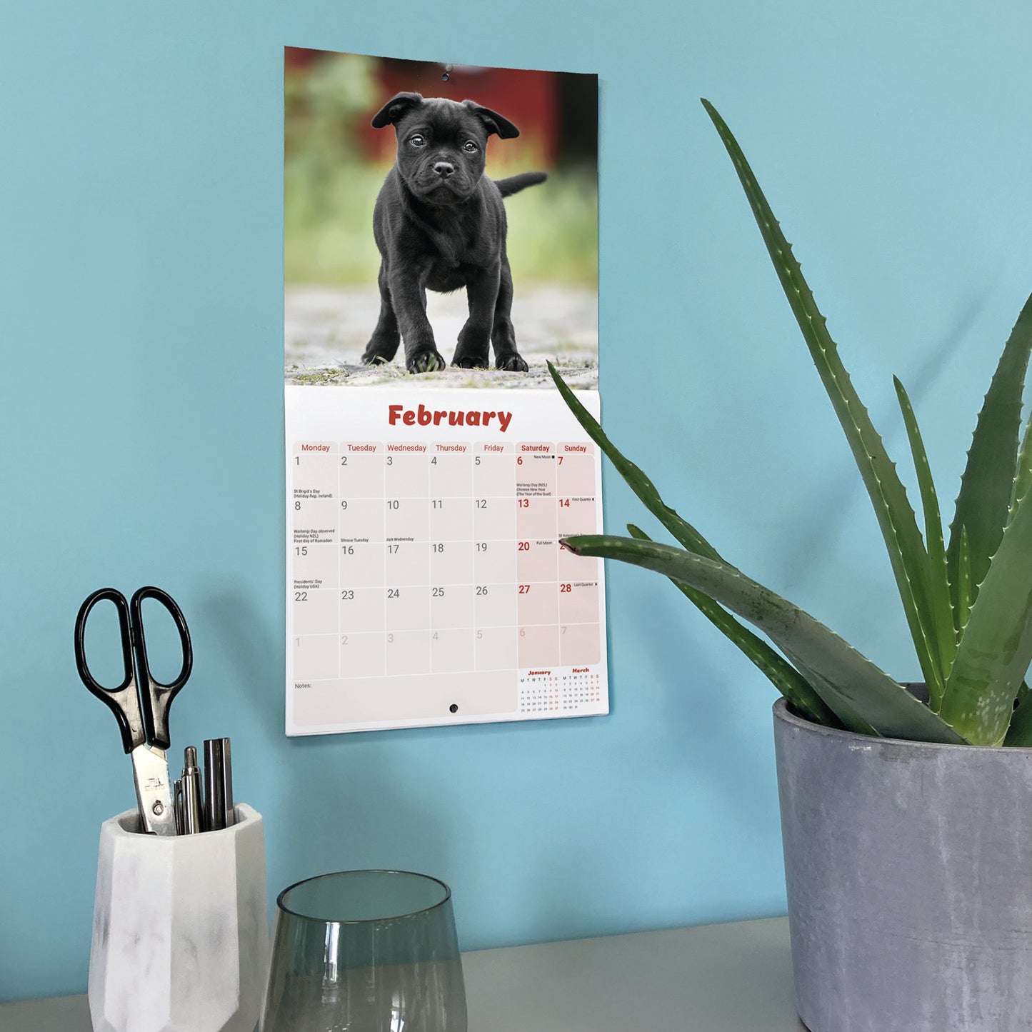 Staffordshire Bull Terrier Puppies Mini Calendar 2027