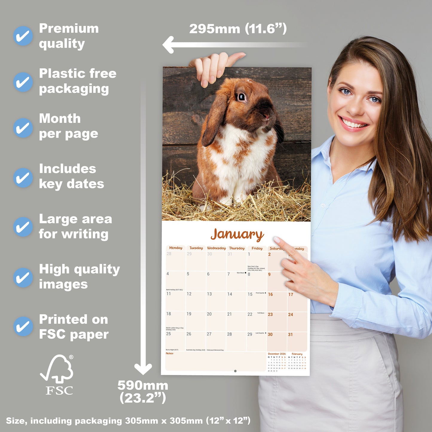 Lop eared Rabbits Wall Calendar 2027