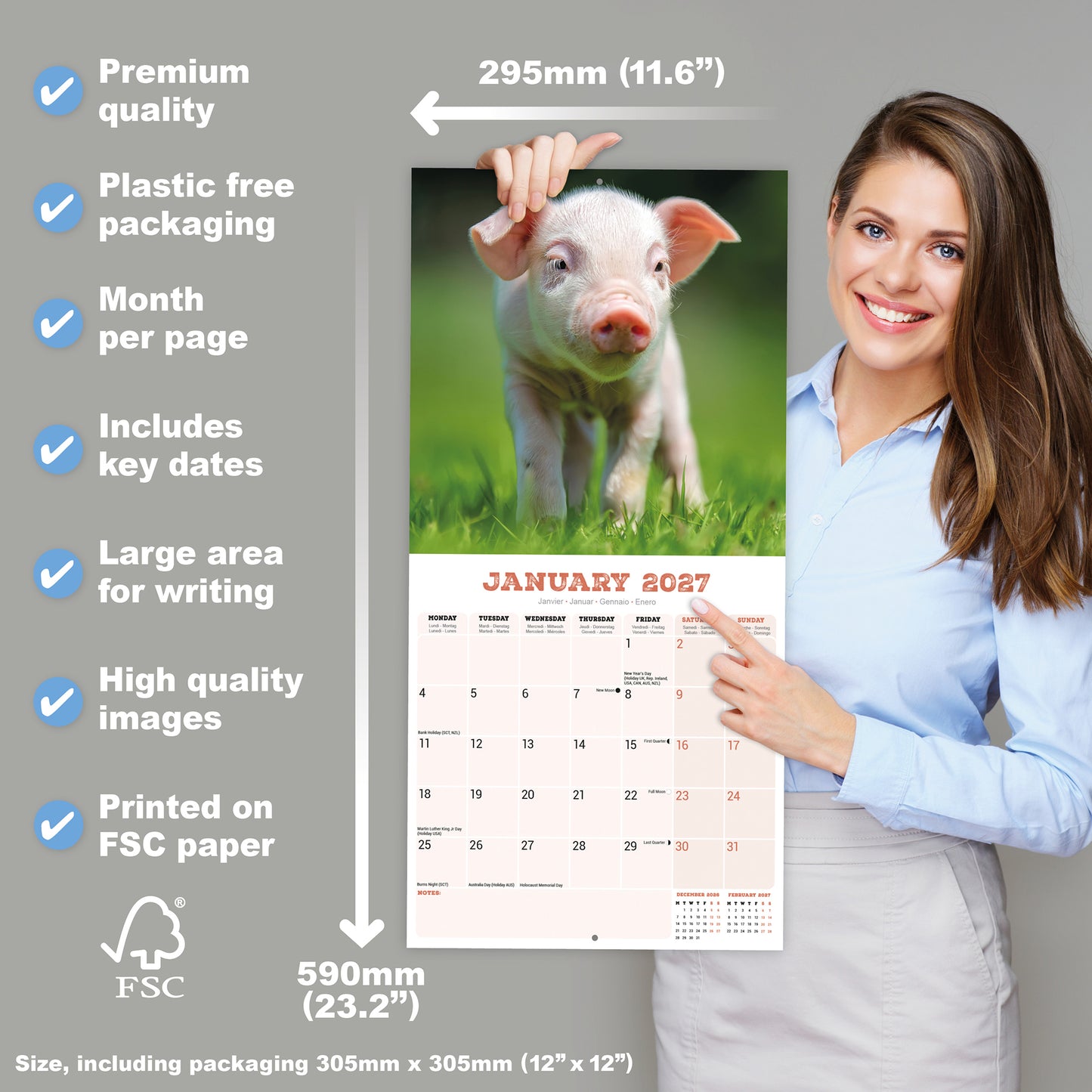 Pigs Wall Calendar 2027