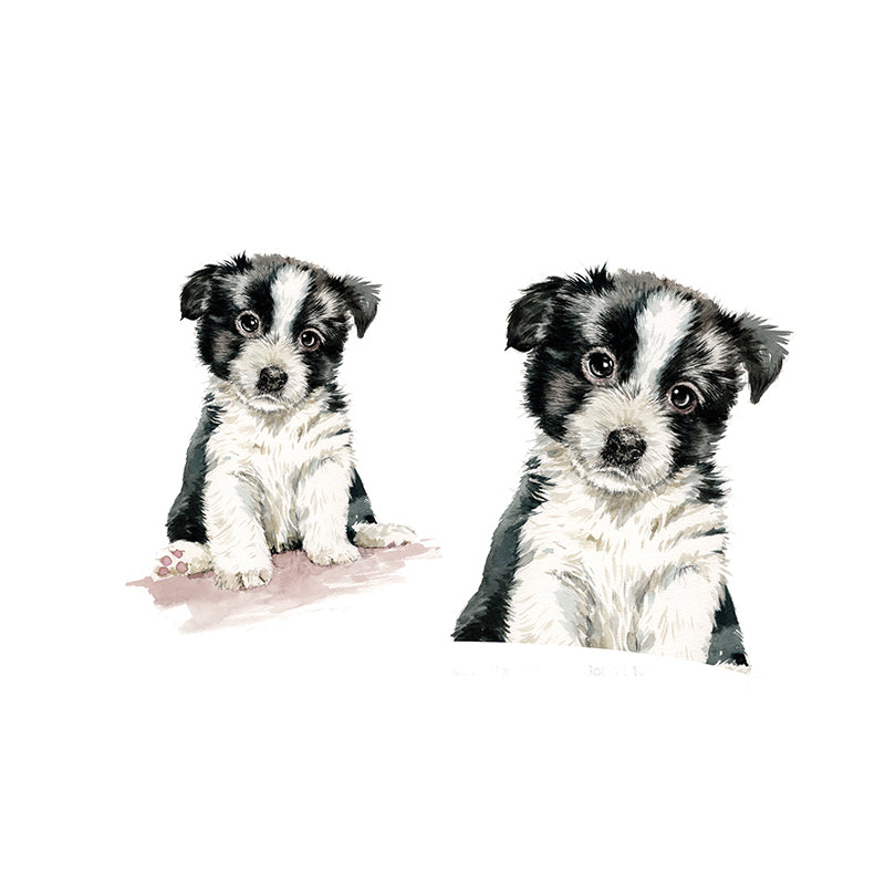 Border Collie - The Riverbank Mug