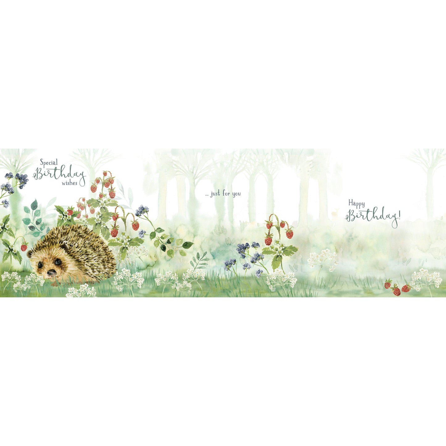 Wild & Serene Card Collection - Hedgehog