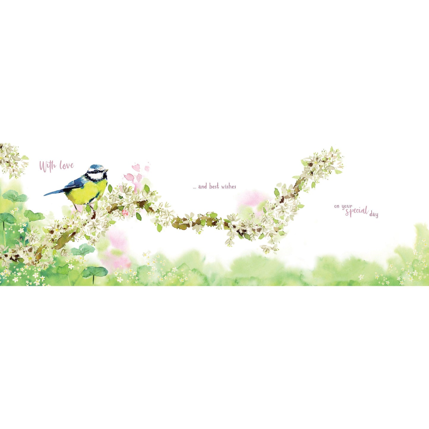 Wild & Serene Card Collection - Blue Tit