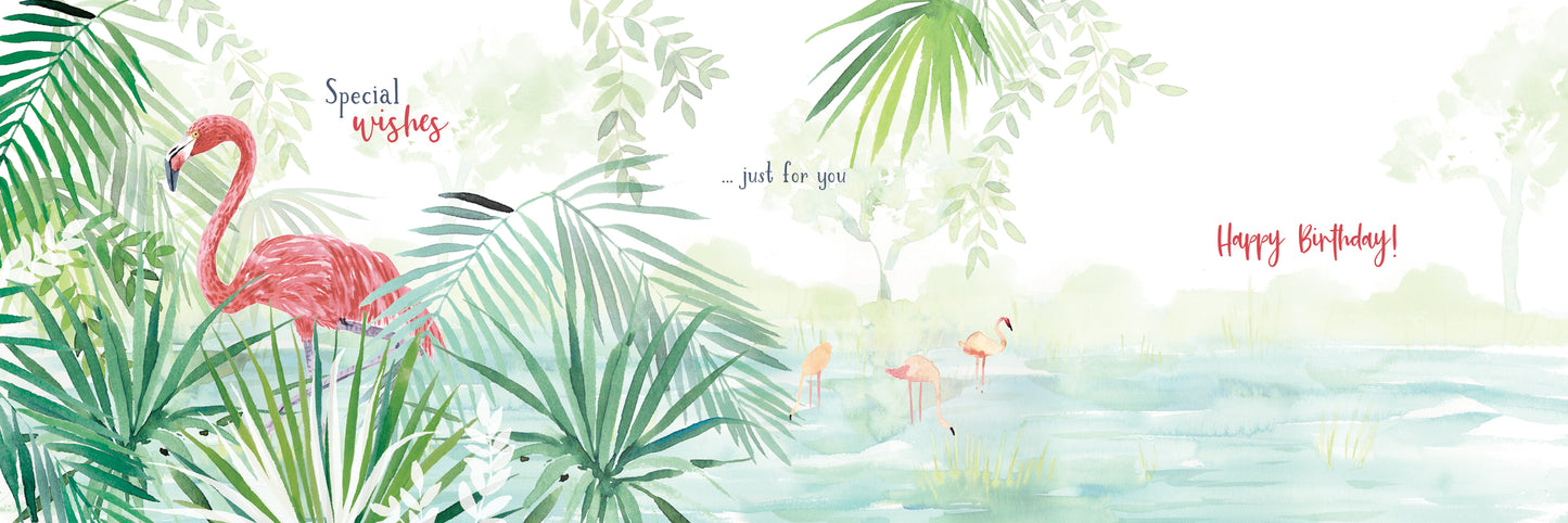 Wild & Serene Card Collection - Flamingo