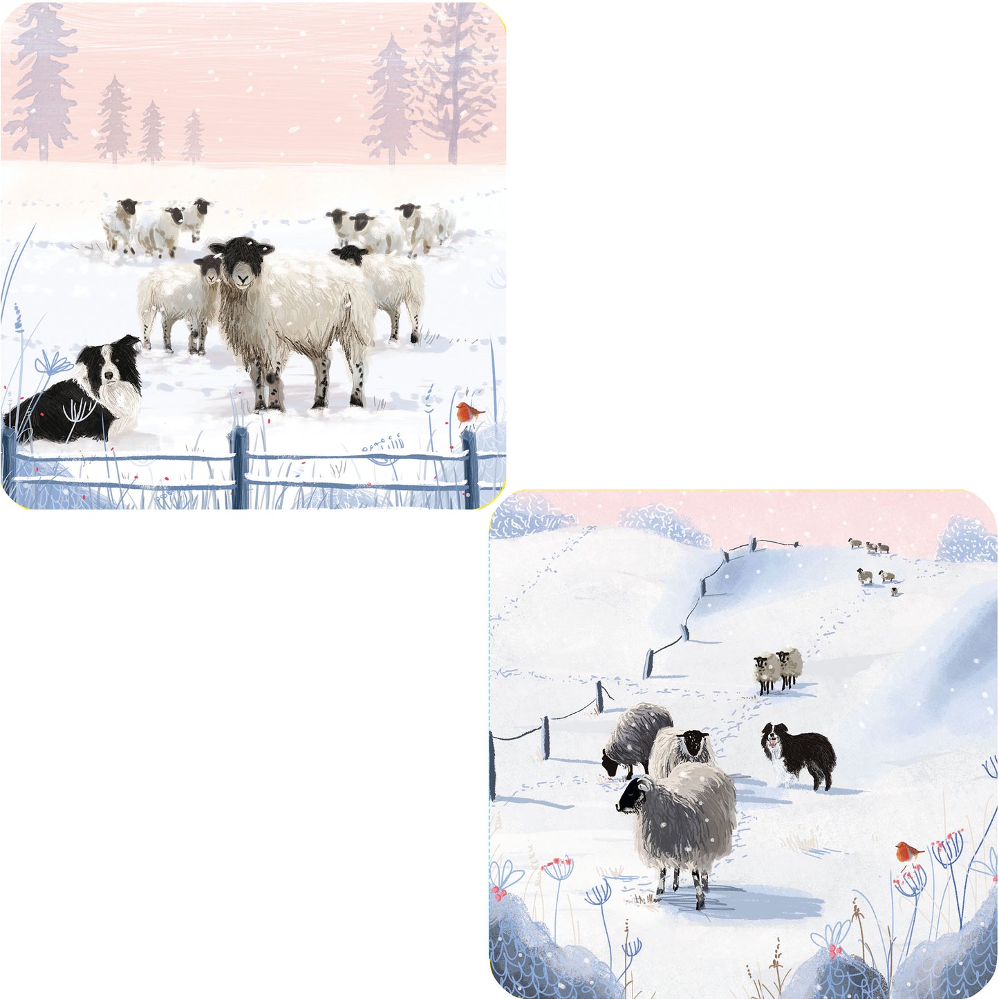 Luxury Christmas Card Pack - Flock Of Sheep