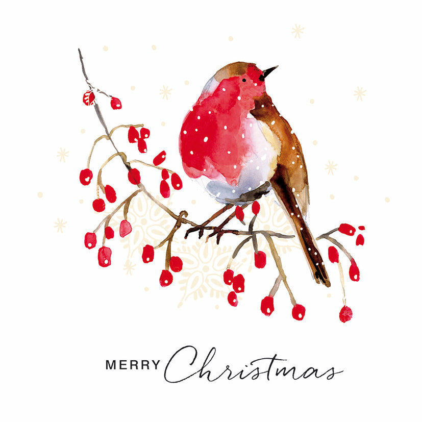 Assorted Christmas Cards - Berry Robin