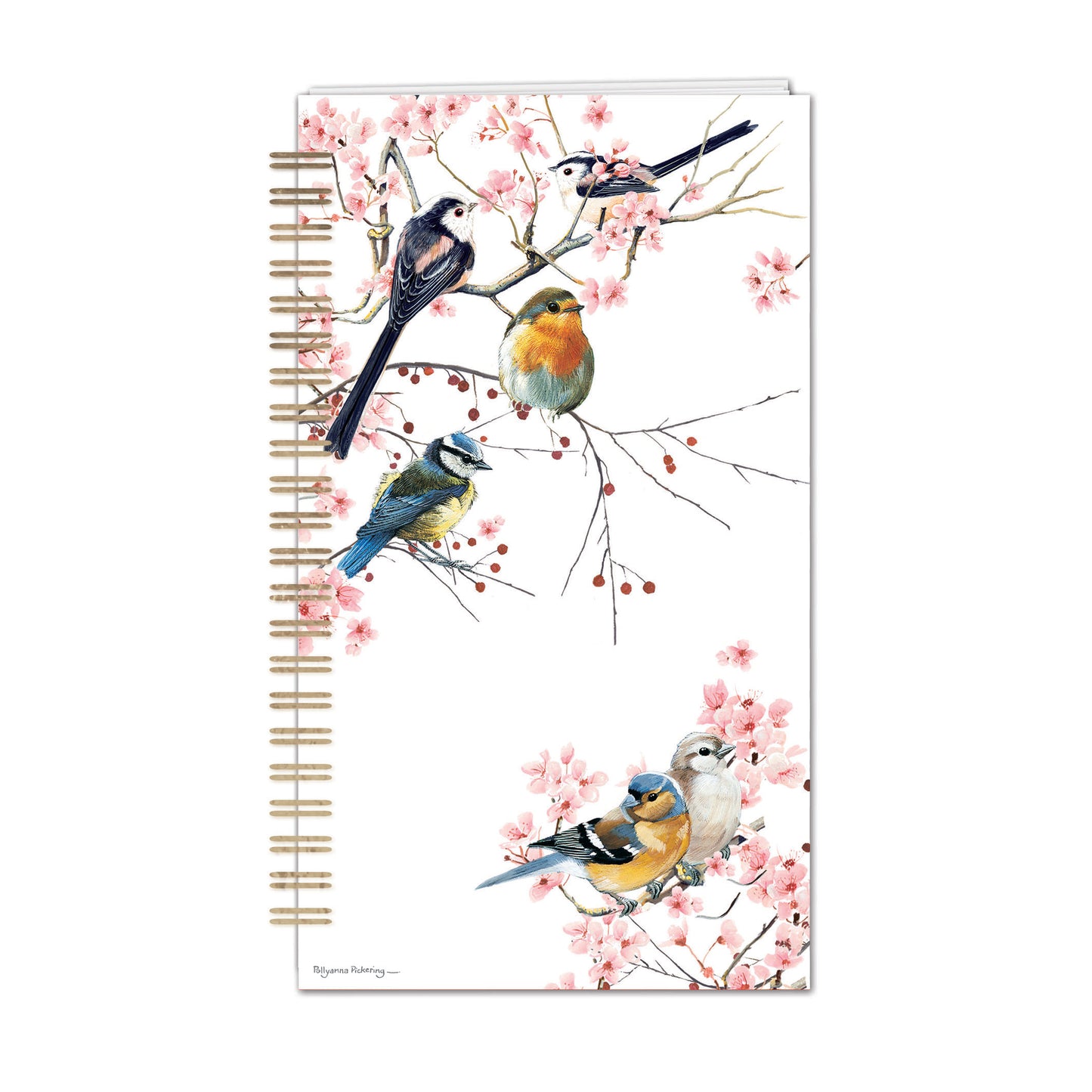 Birds, Blossom & Berries - Password Book