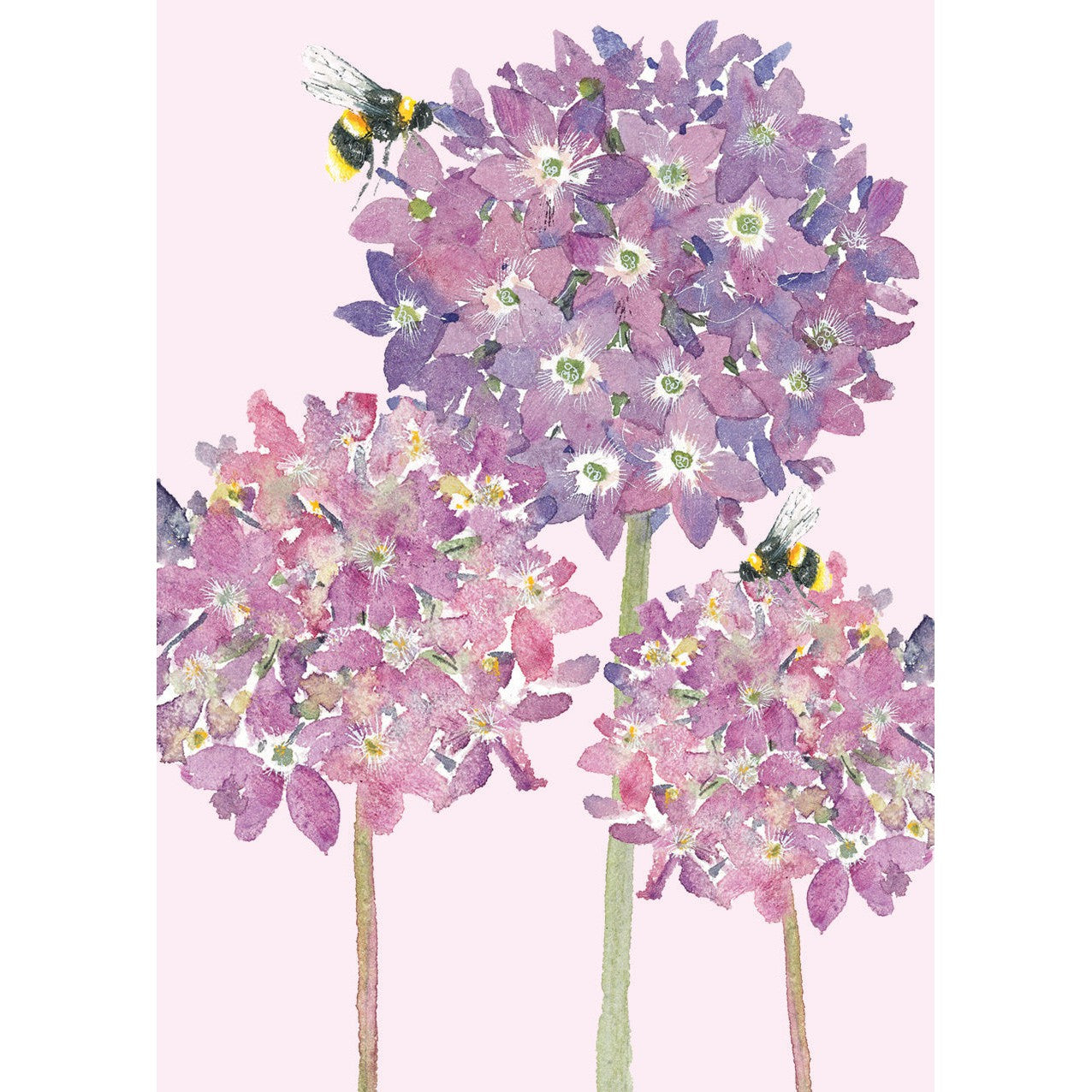 Mini Notecard Pack (6 Cards) - Watercolour Alliums