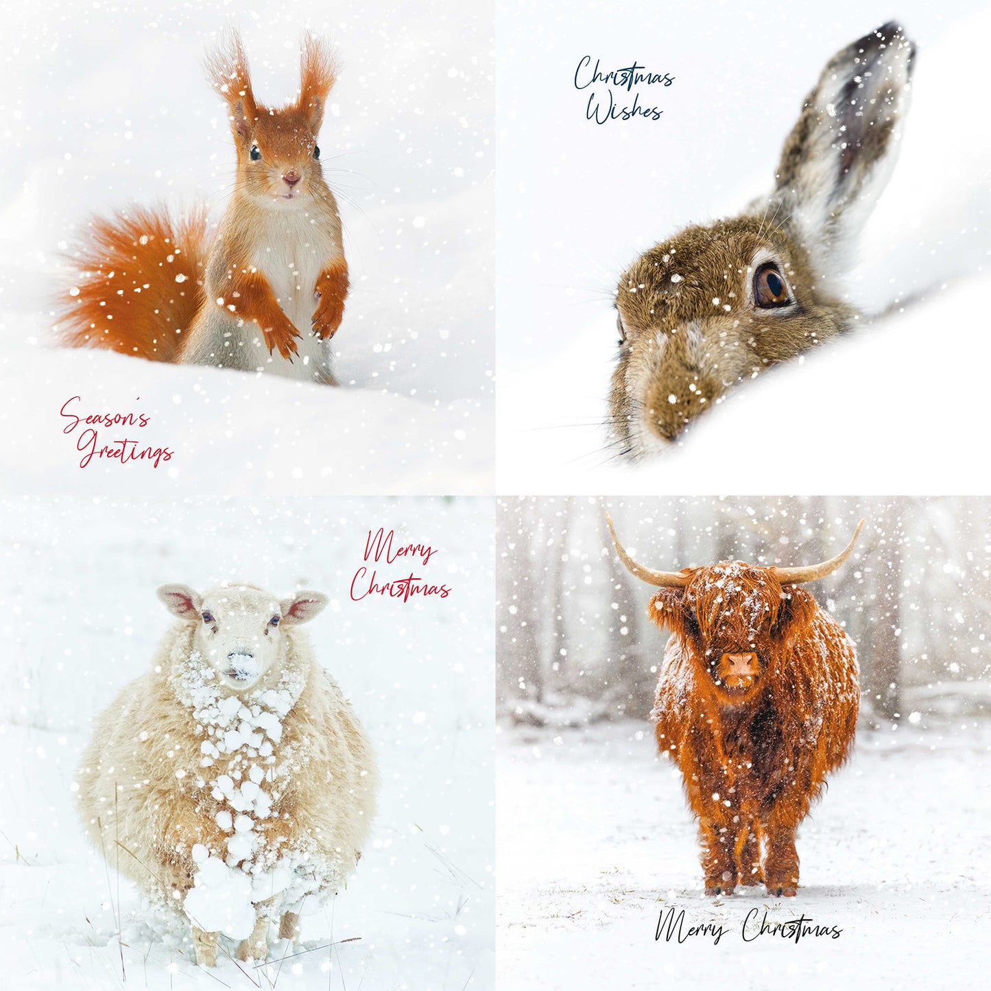 Assorted Christmas Cards - Snow Creatures
