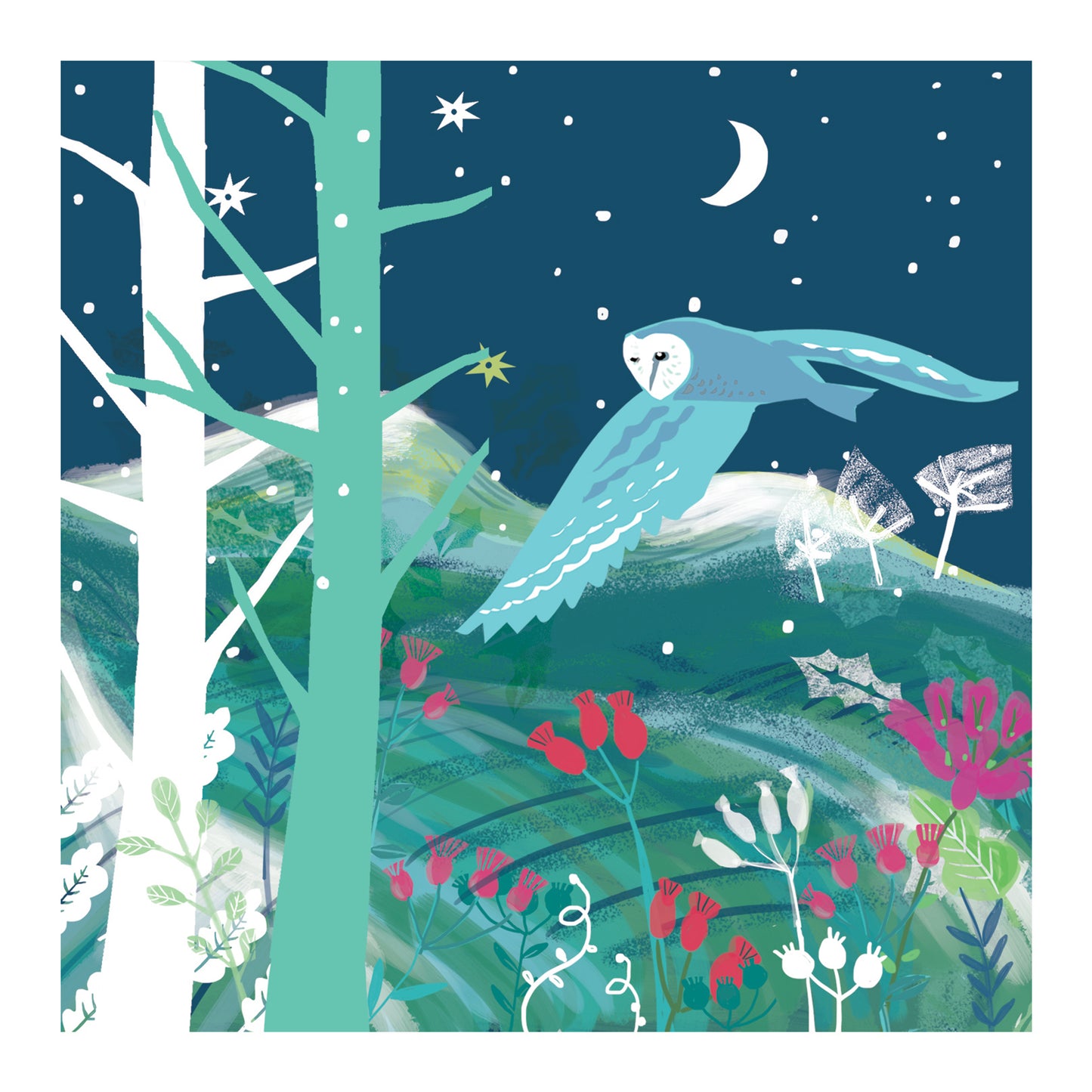 Moonlit Visitors - RSPB Luxury Christmas 10 Card Pack