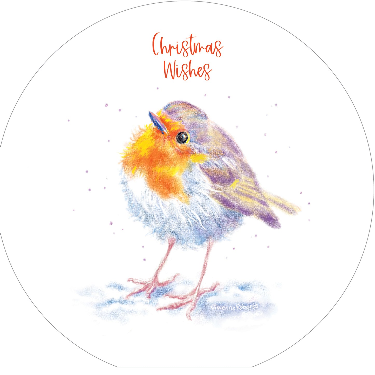 Inquisitive Robins - RSPB Luxury Christmas 10 Card Pack