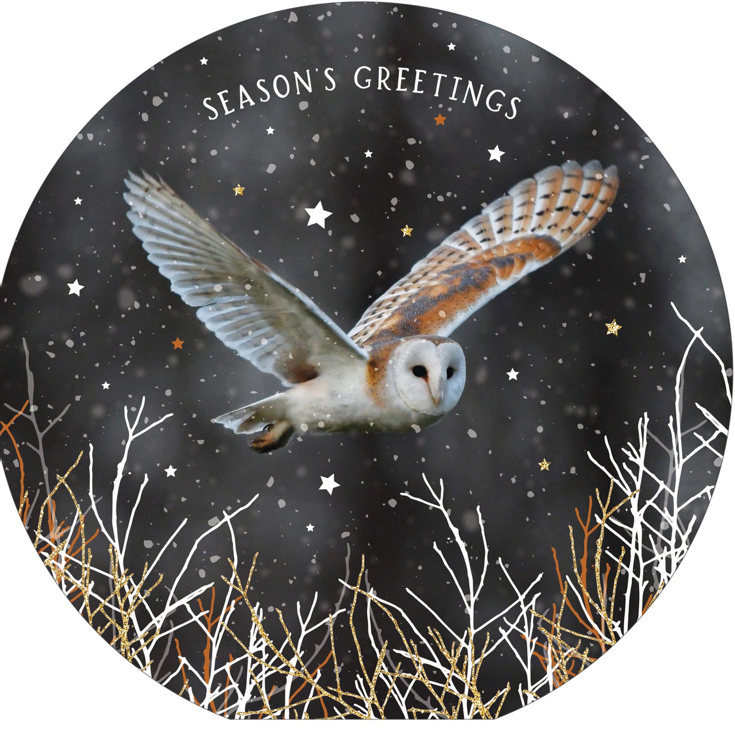 Winter Creatures - RSPB Luxury Christmas 10 Card Pack