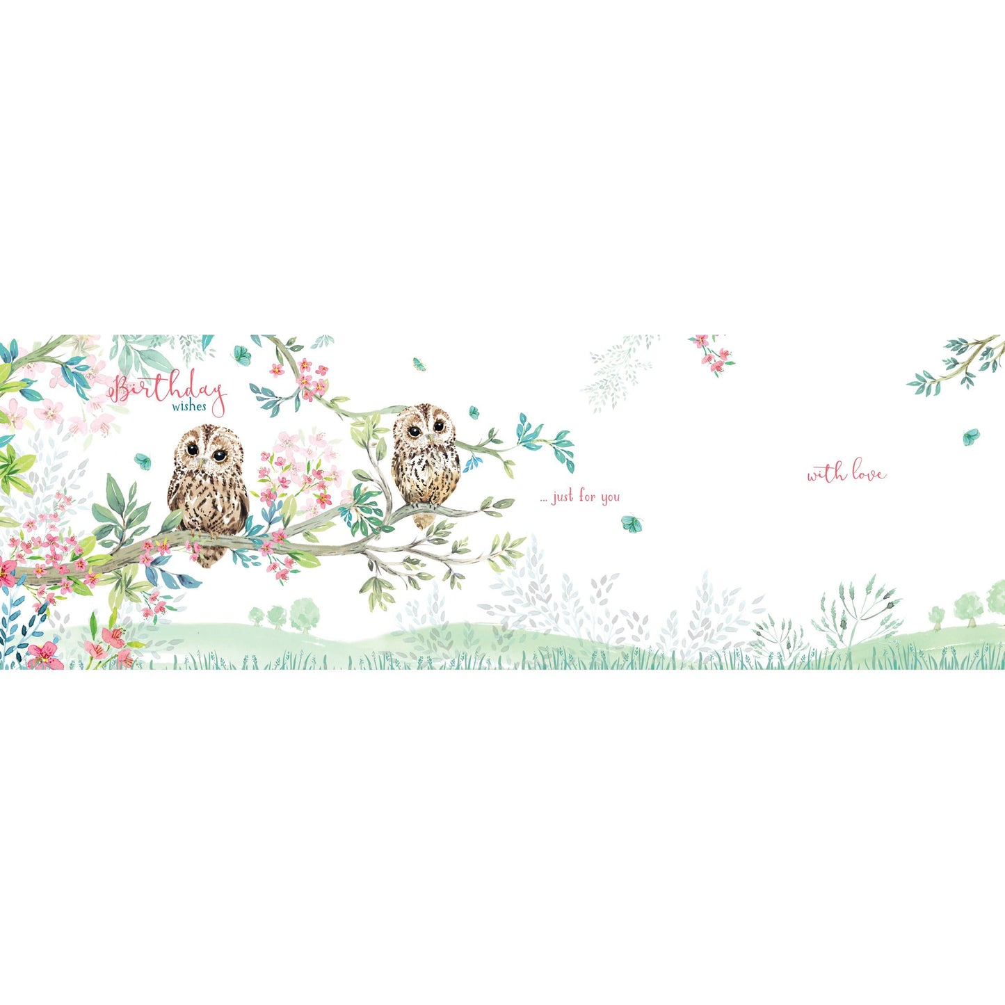 Wild & Serene Card Collection - Little Owl