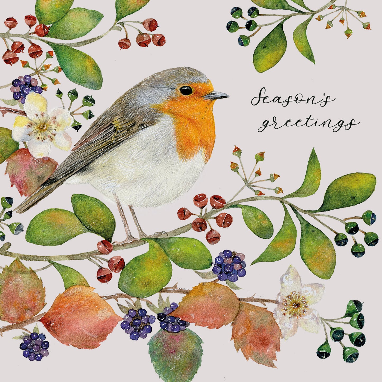Charity Christmas Card Pack - Christmas Robin