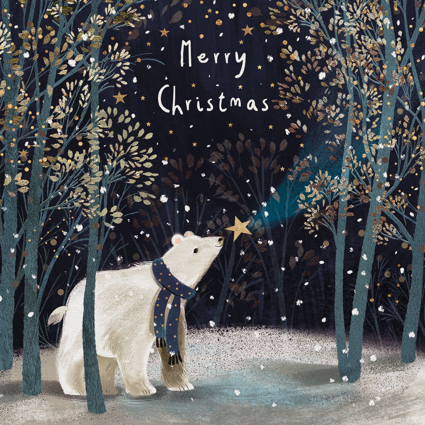 Charity Christmas Card Pack - Polar Bear Wish