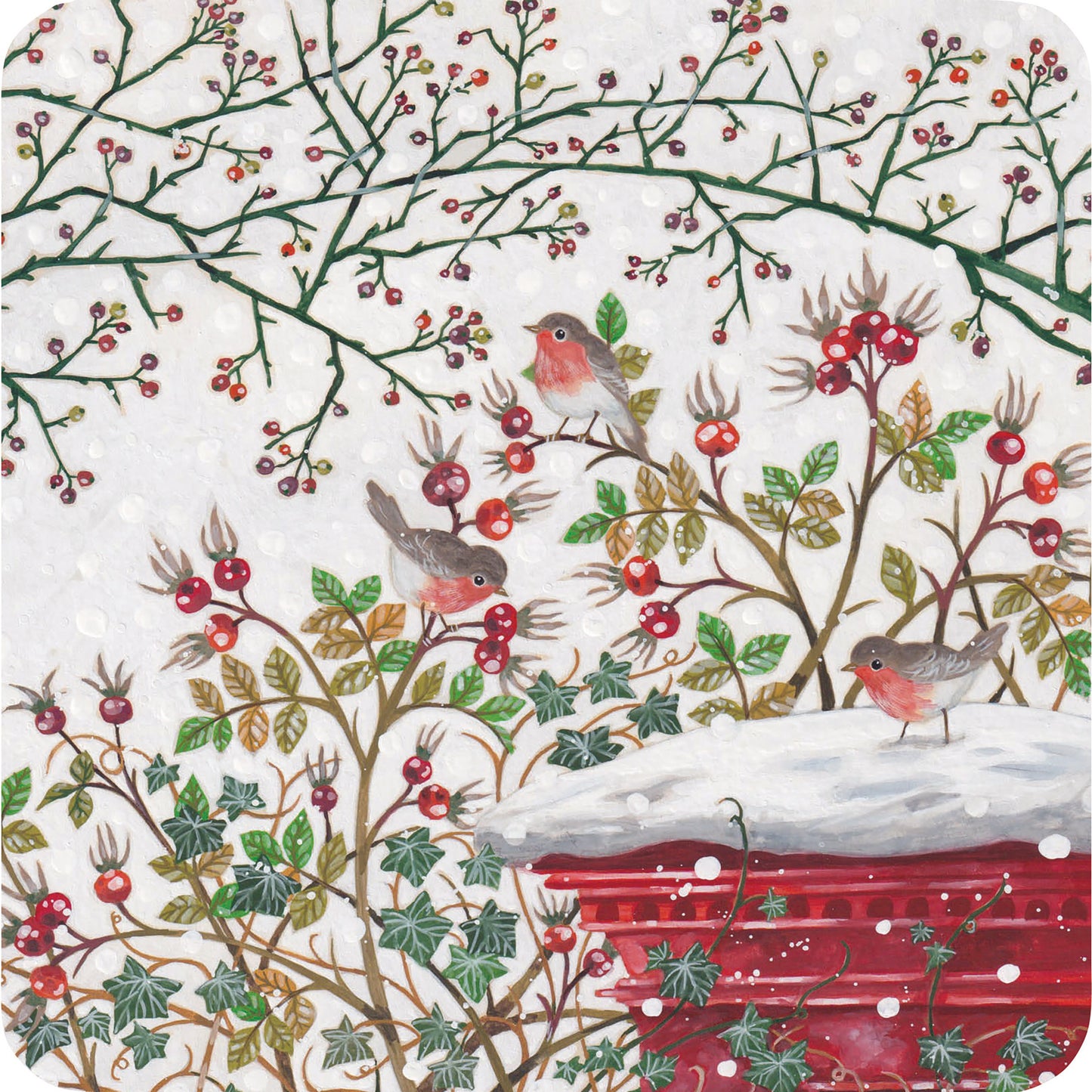 Luxury Charity Christmas Card Pack - Robin Post