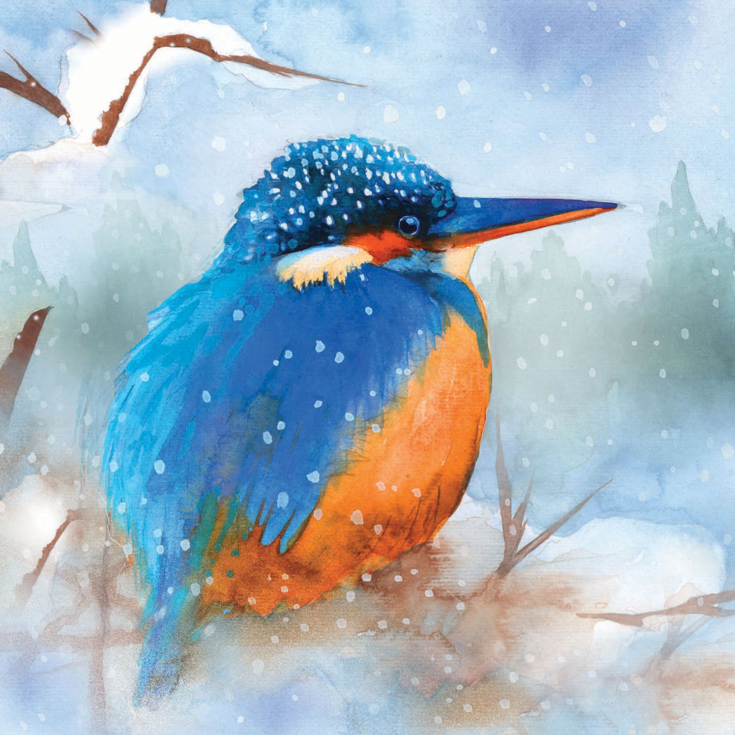 RSPB Small Square Christmas Cards (10 Cards) - Kingfisher in Snow