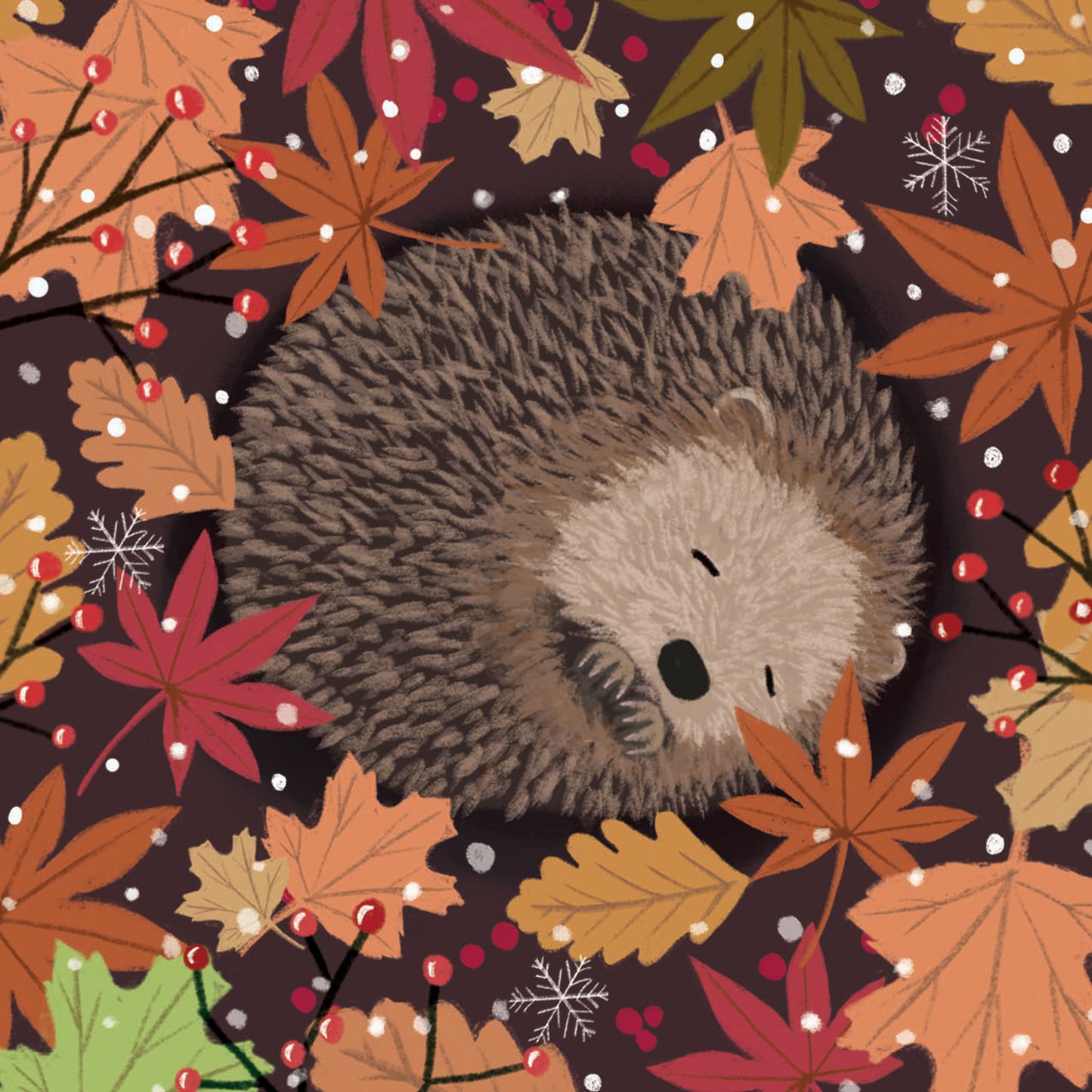 RSPB Small Square Christmas Cards (10 Cards) - Sleeping Hedgehog