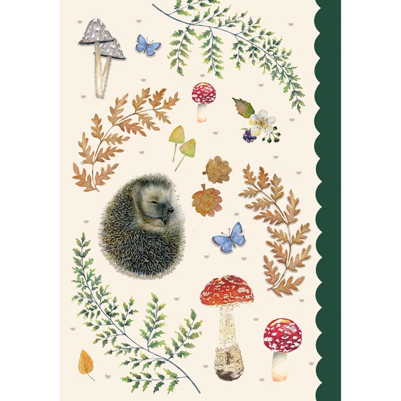 Meadow & Seashore Card Collection - Hedgehog & Toadstools