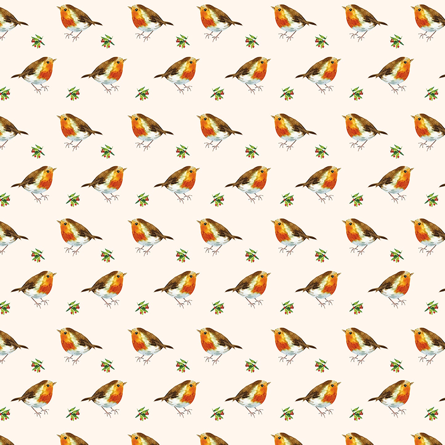 Christmas Wrap & Tags - Little Robins (5 Sheets & 5 Tags)