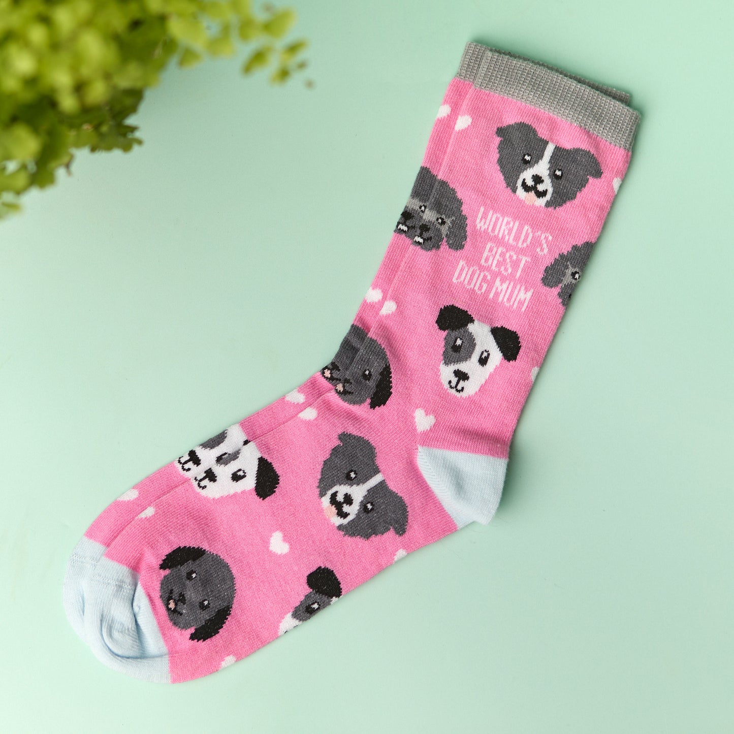 Socks - World's Best Dog Mum (1 pair)