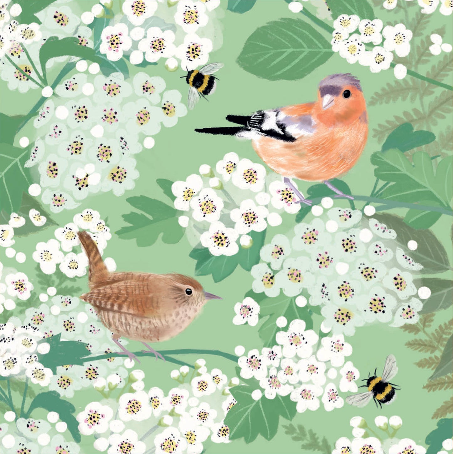 Notecard Pack (10 Cards) - RSPB White Blossom - Birds
