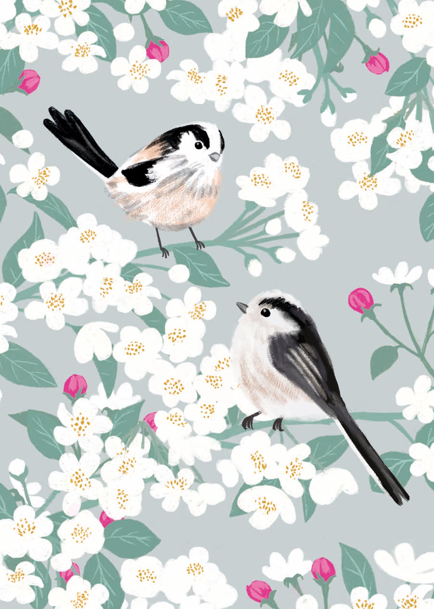 Mini Notecard Pack (6 Cards) - RSPB White Blossom - Long-Tailed Tits & Apple Blossom
