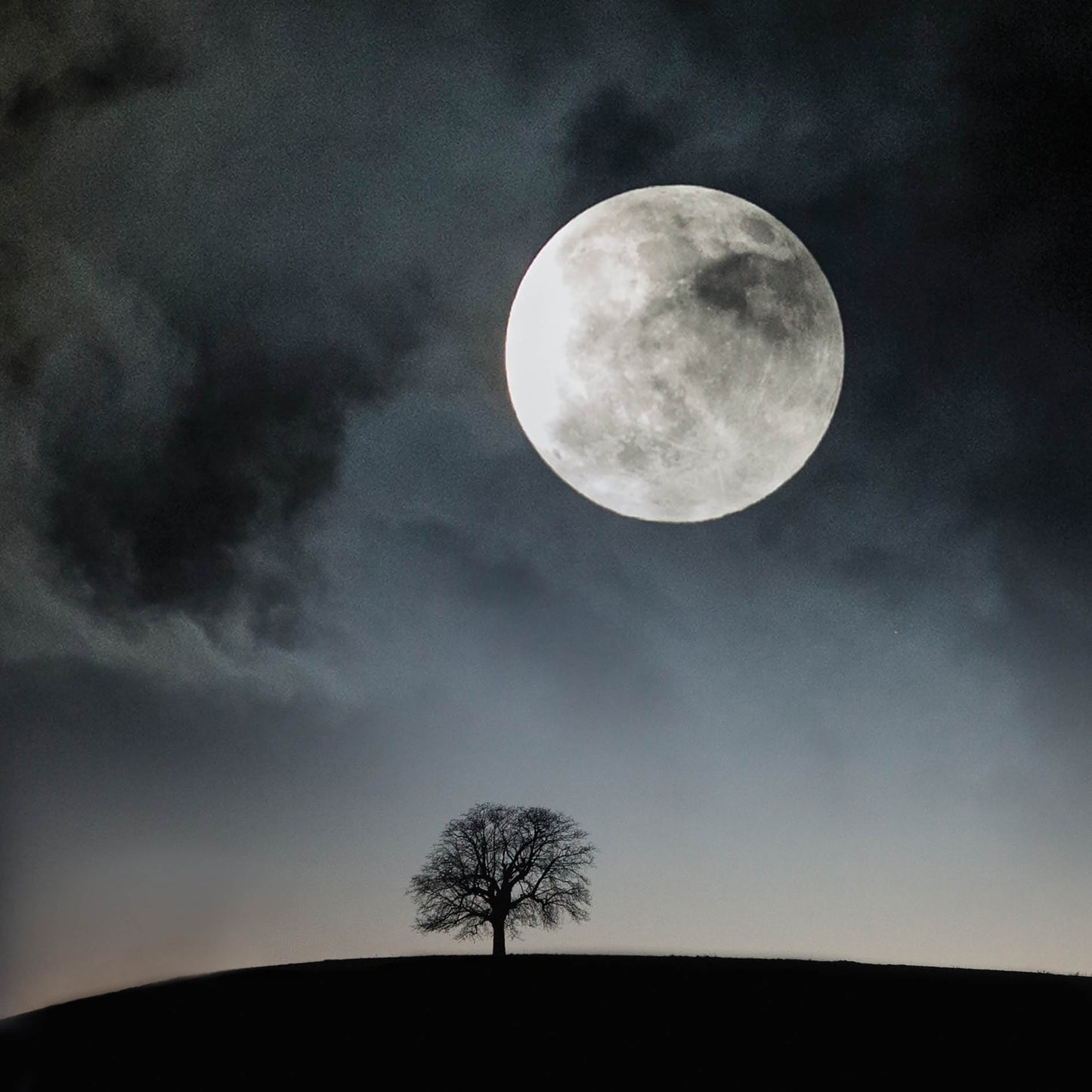 Alex Sharp Card - Scenic - Super Moon