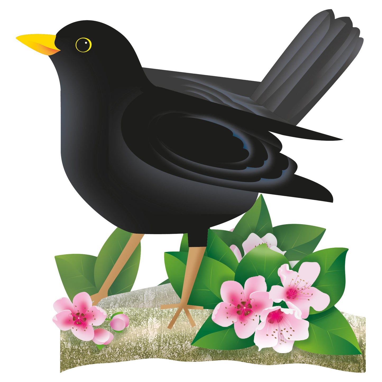 Special Delivery Card - Blackbird