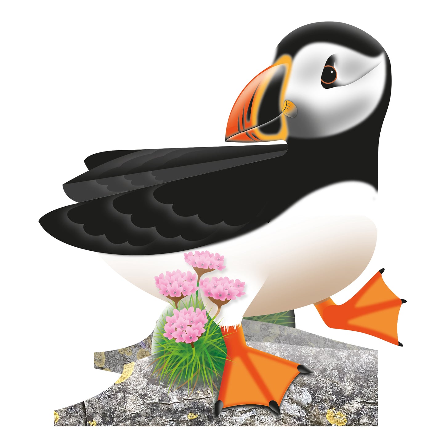 Special Delivery Card - Puffin