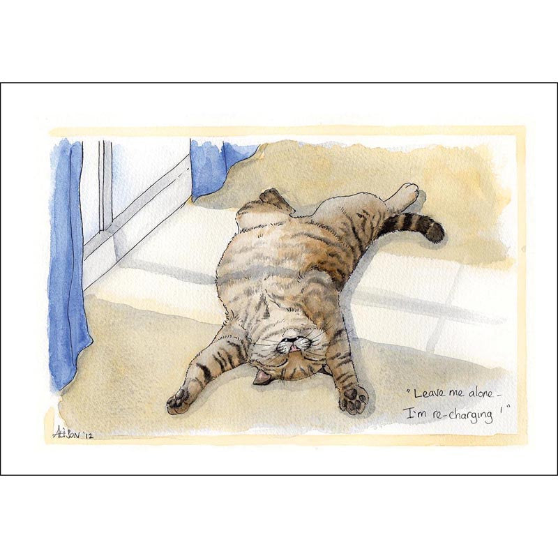 Alison's Animals Card - I'm recharging (Splimple - 150x210mm)