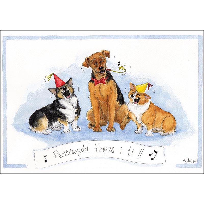 Alison's Animals Card - Penbldydd hapus I chi (Splimple - 150x210mm)