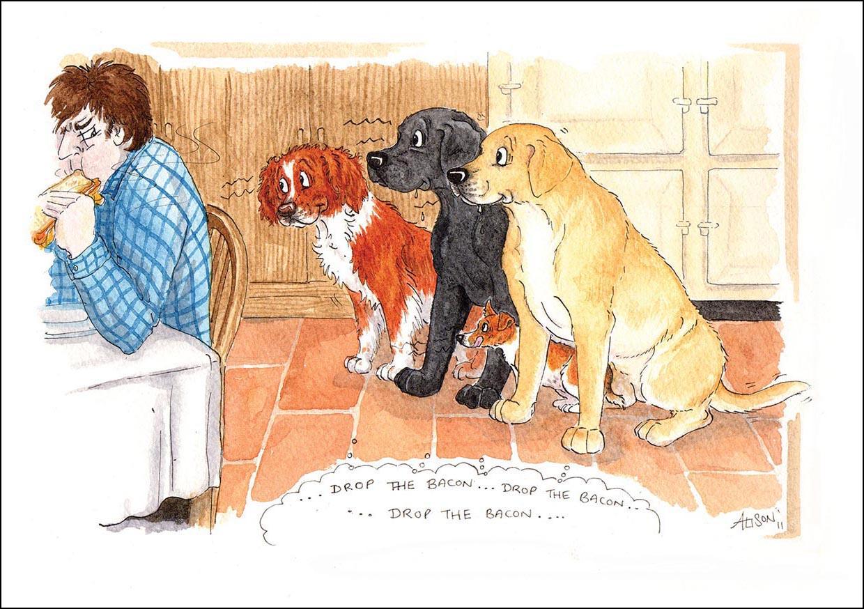 Alison's Animals Card - Drop the bacon