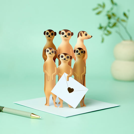 Special Delivery Card Collection - Wildlife - Meerkats