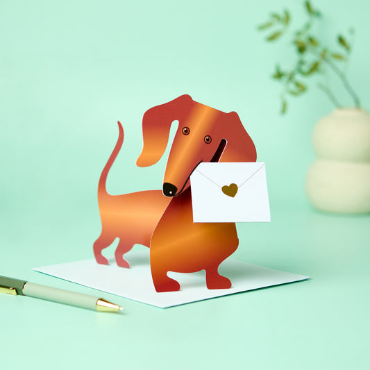 Special Delivery Card Collection - Sausage Dog - Weeny