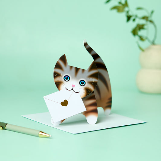 Special Delivery Card Collection - Cat - Tabby