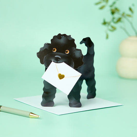 Special Delivery Card Collection - Dog - Jazzy