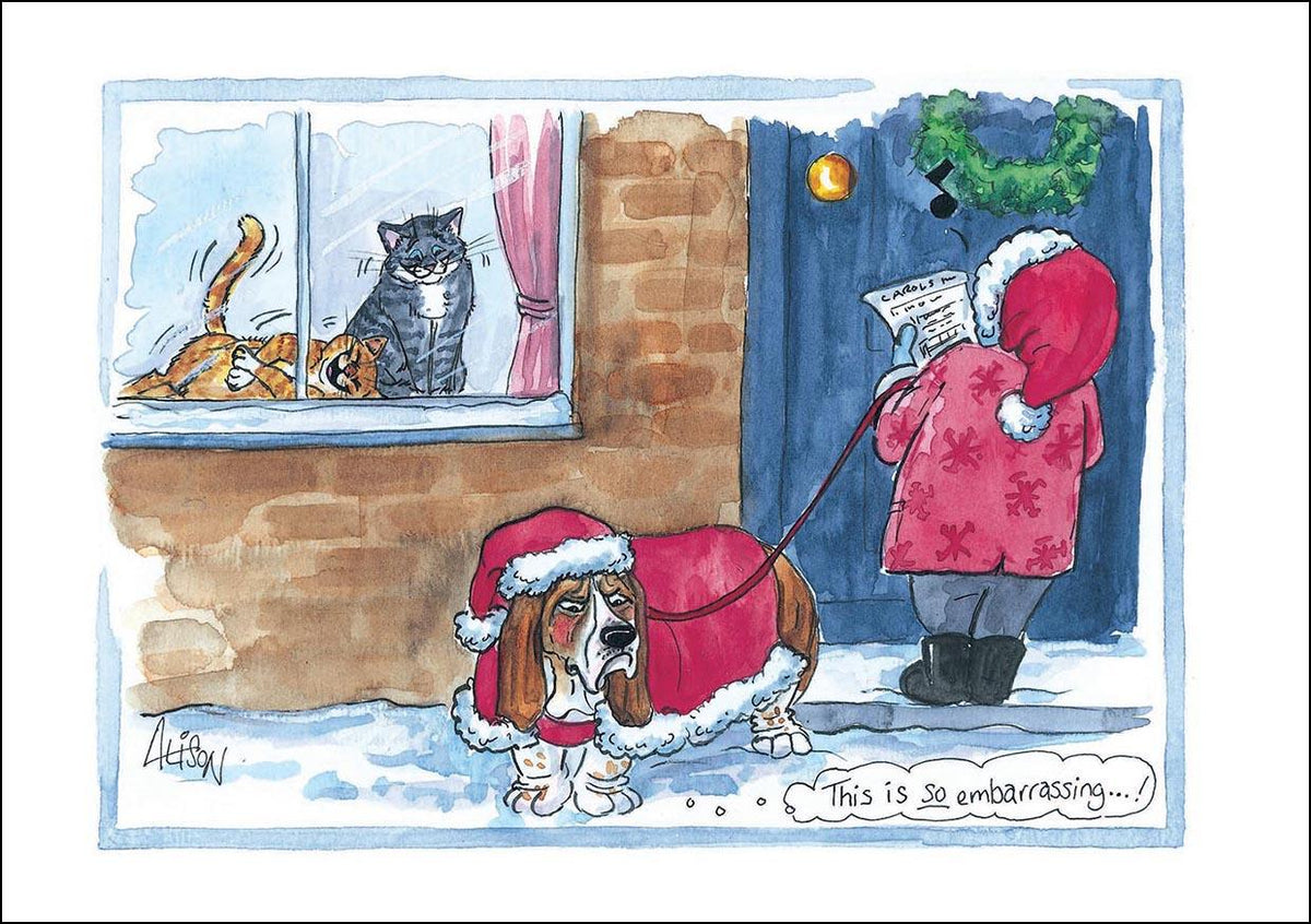 Christmas Cards (Single) - Alisons Animals - This is so embarrassing