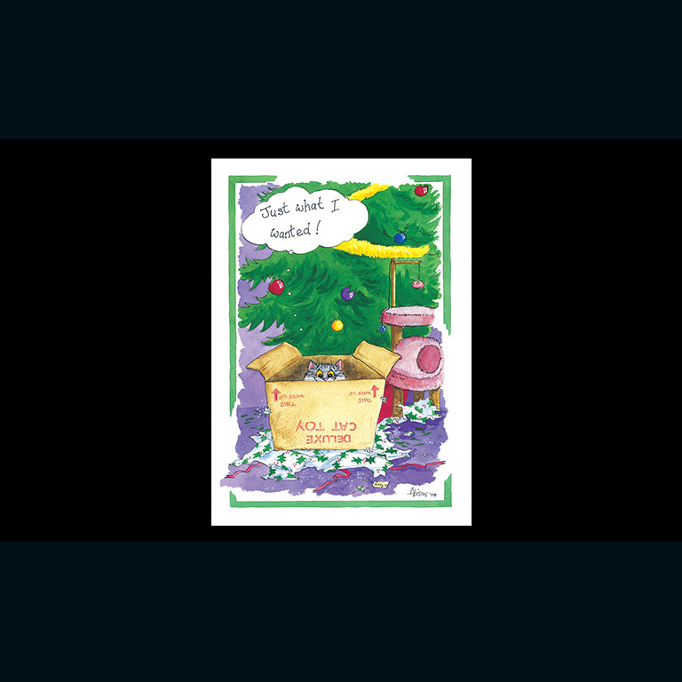 Christmas Cards (Single) - Alisons Animals - Just what I wanted