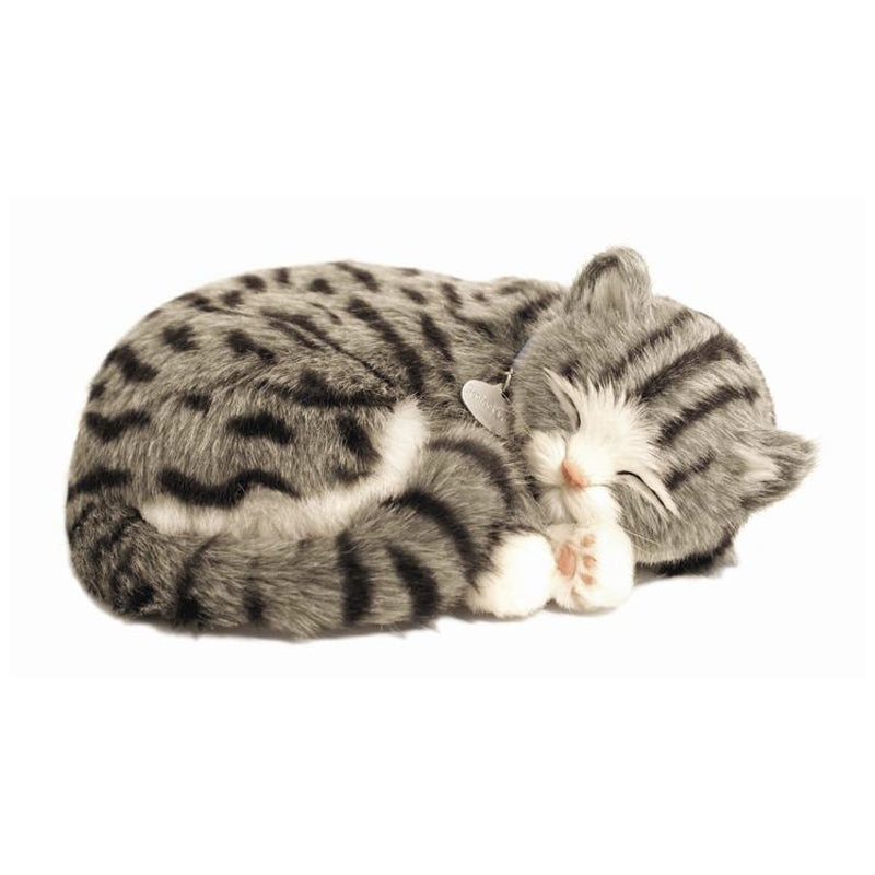 Precious Petzzz - Grey Tabby
