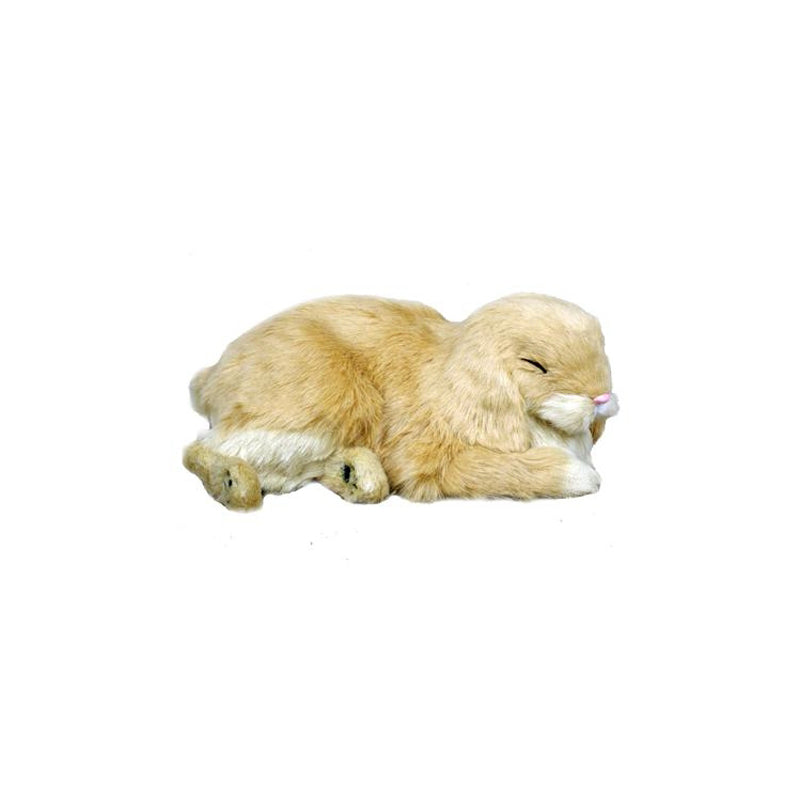 Precious Petzzz - Mini Lop Eared Rabbit