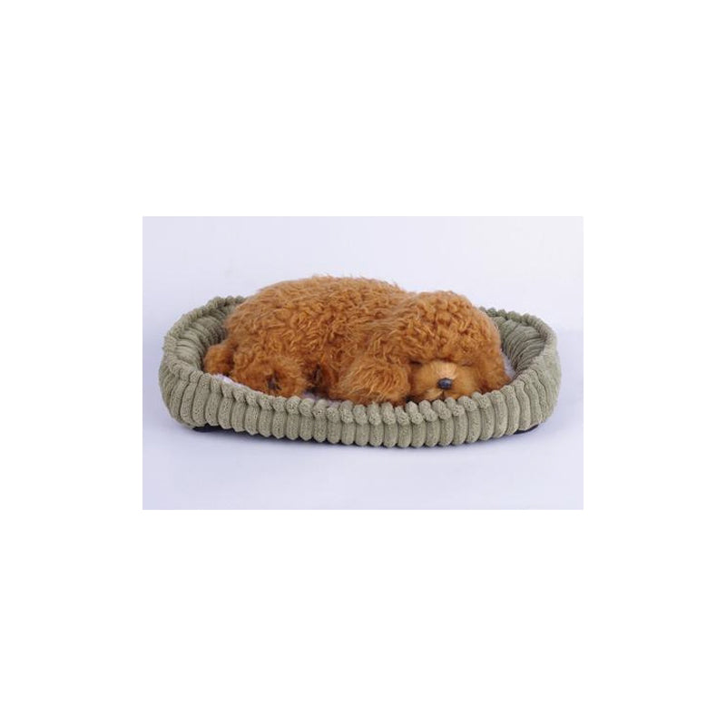 Precious Petzzz - Toy Poodle