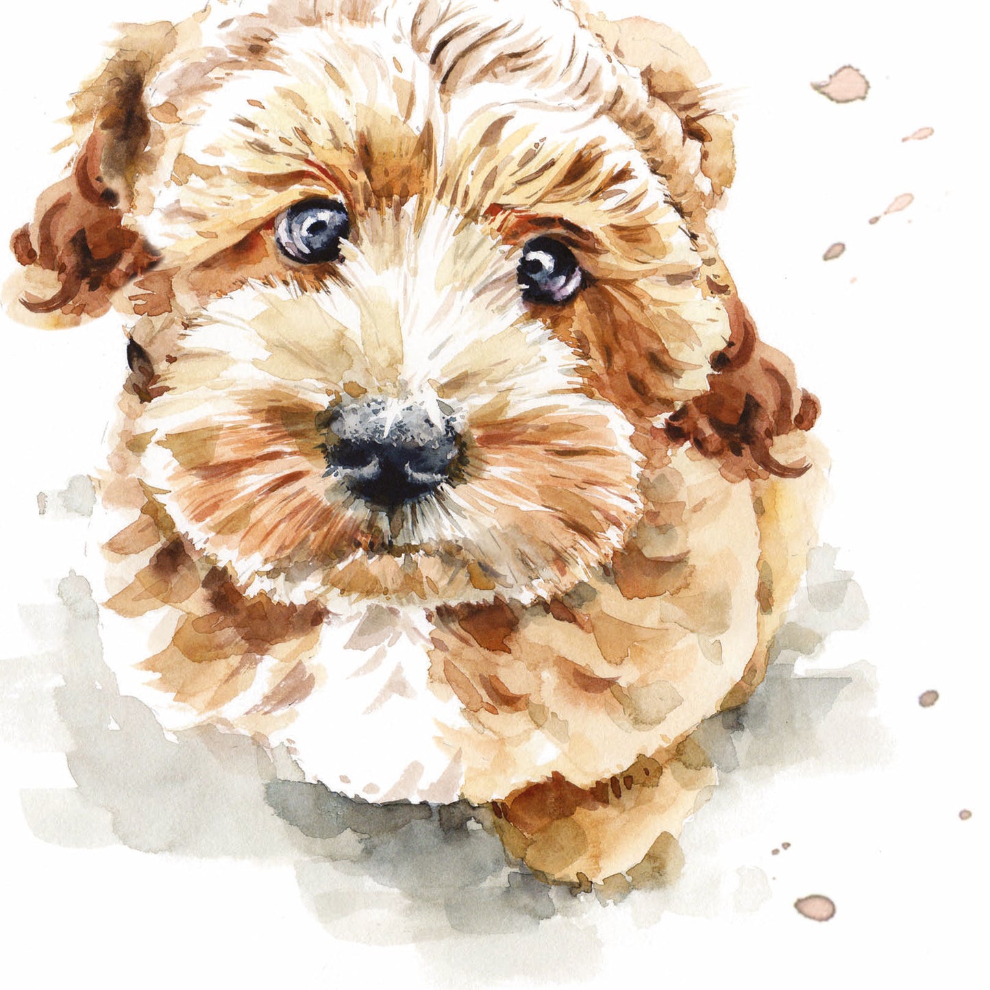 Puppy Dog Eyes Card Collection - Cockapoo Coco
