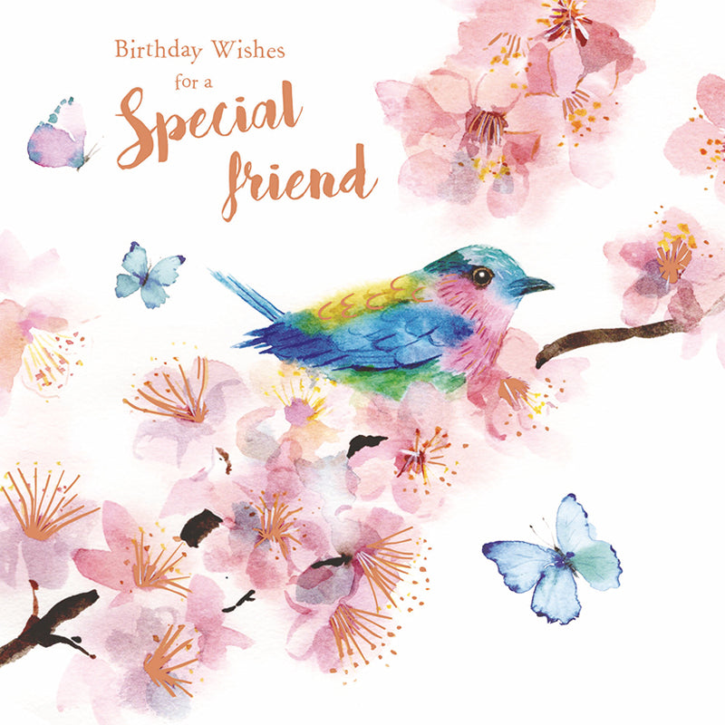 Birthday Treats Card Collection - Birds & Blossom