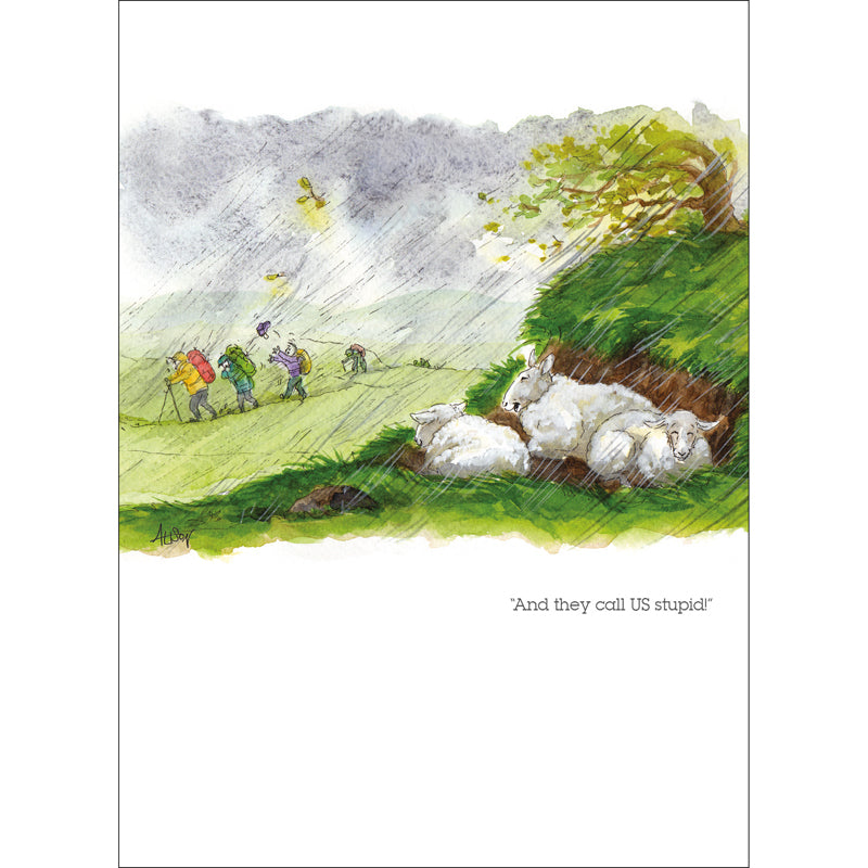 Alison's Animals Card - And They Call Us Stupid