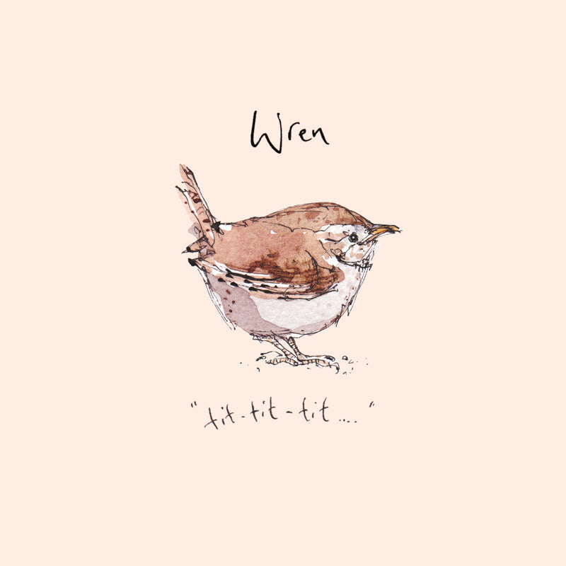 Madeleine Floyd - The Dawn Chorus - Wren