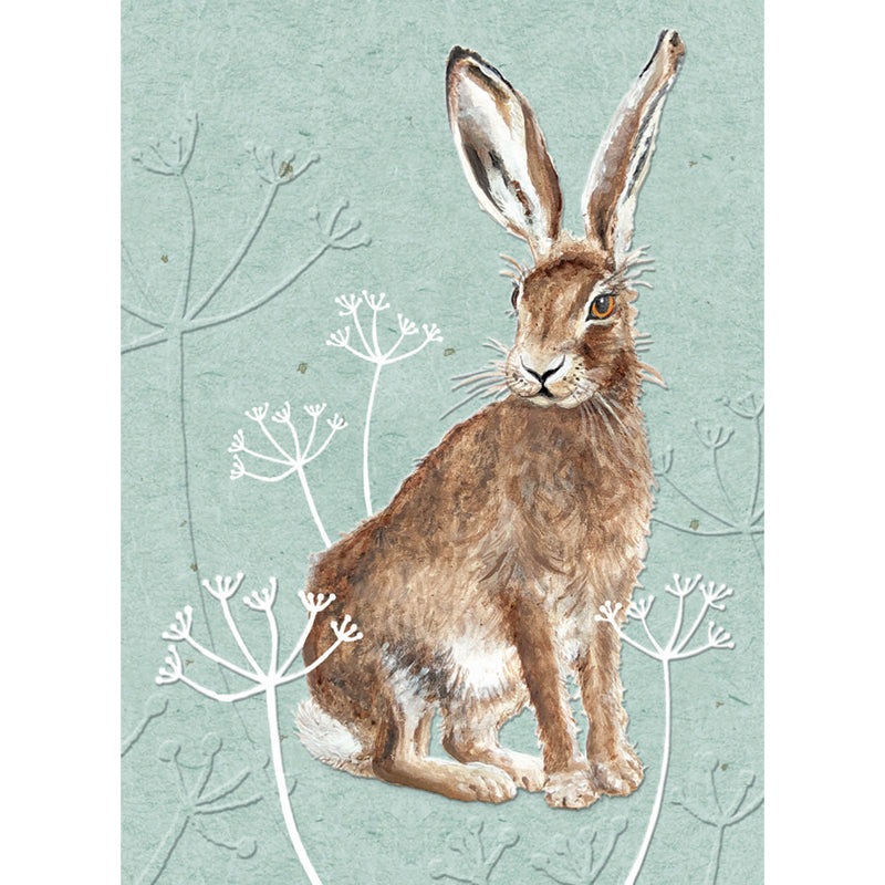 RSPB - In The Wild Card - Hare