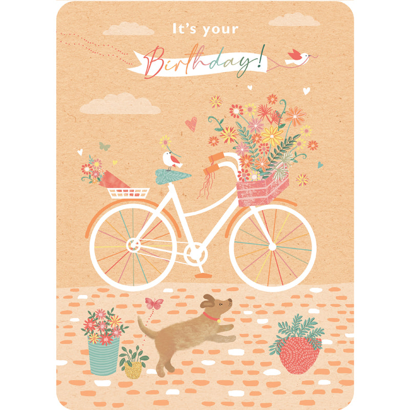 Beautiful Moments Card Collection - Bicycle