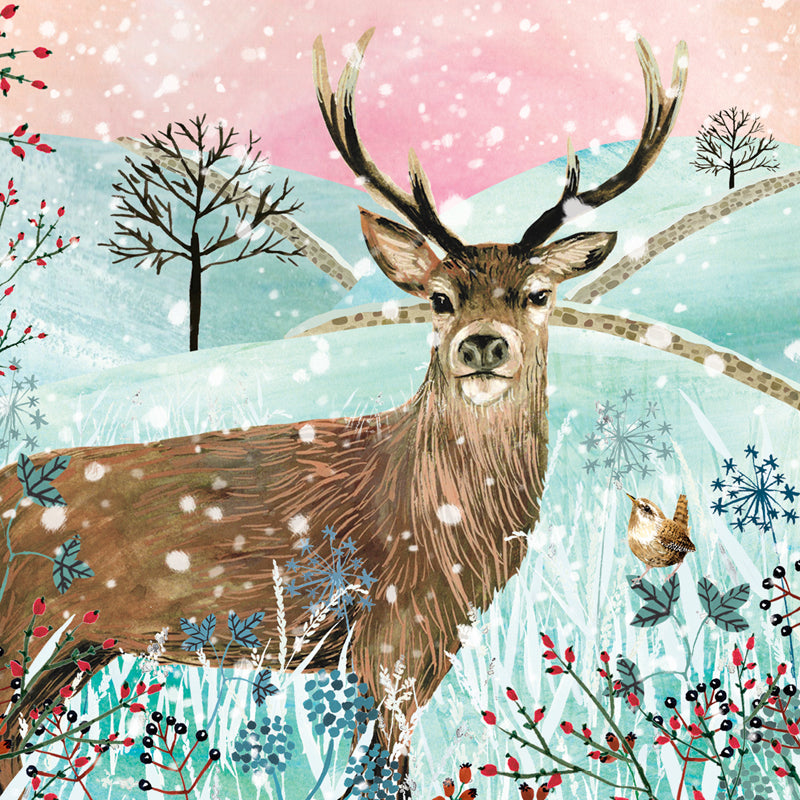 Winter Stag - RSPB Small Square Christmas 10 Card Pack