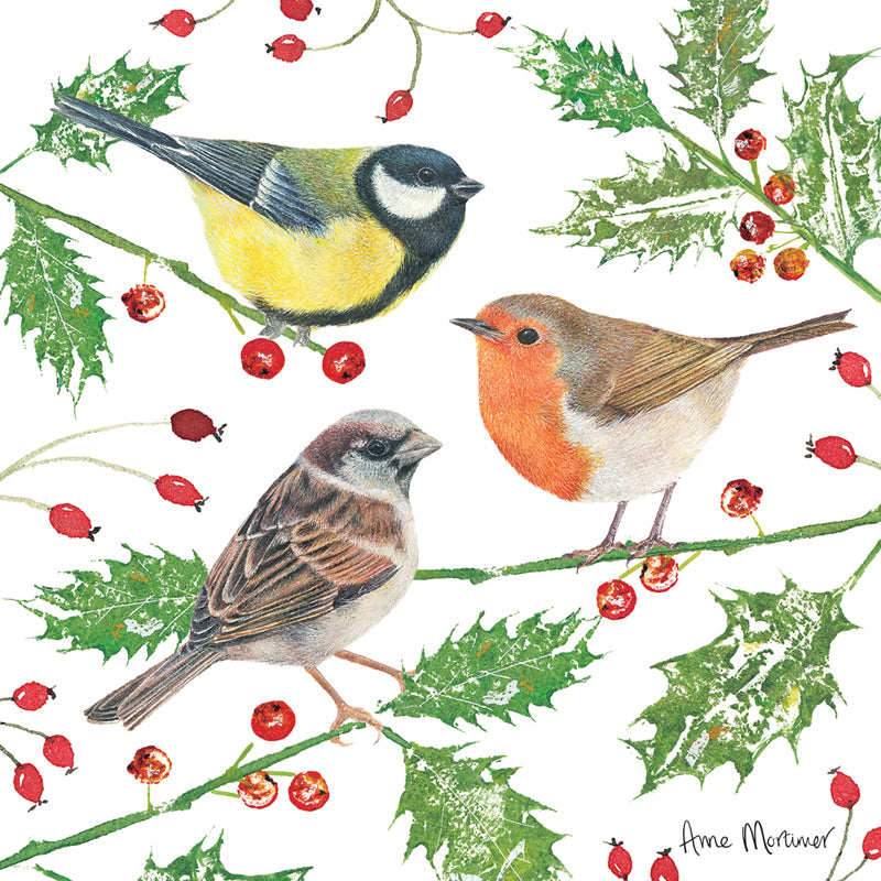 Robin, Great Tit & Sparrow - RSPB Small Square Christmas 10 Card Pack